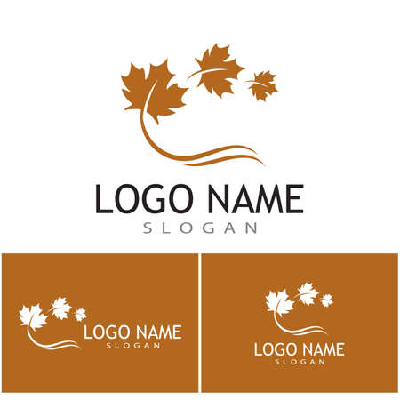 Maple leaf vector illustration design templateのイラスト素材