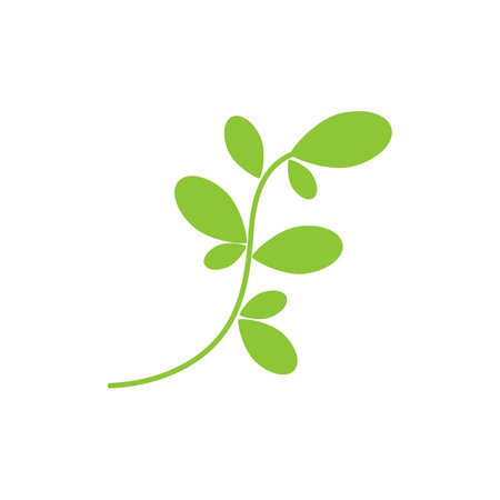 Moringa Leaf Logo Template Vector Symbol Natureのイラスト素材