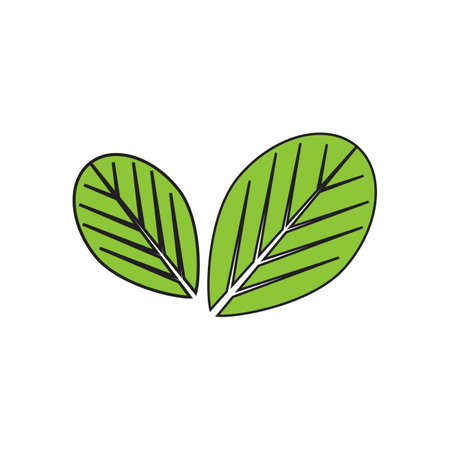 Moringa Leaf Logo Template Vector Symbol Natureのイラスト素材