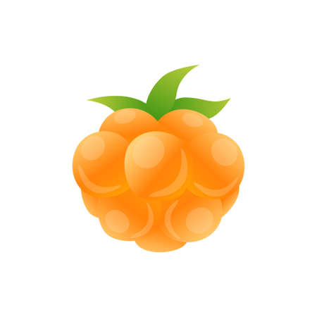 Orange cloudberry berry flat icon with inscription colorful vector illustration of eco food isolated on white.のイラスト素材