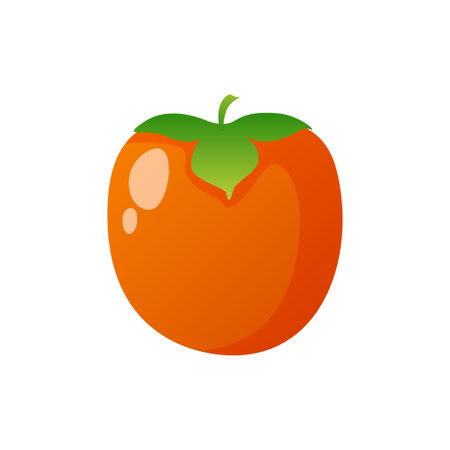 Persimmon or kaki fruit isolated on white background. Summer fruits for healthy lifestyle. Cartoon style vector illustration. Tropical exotic food.のイラスト素材