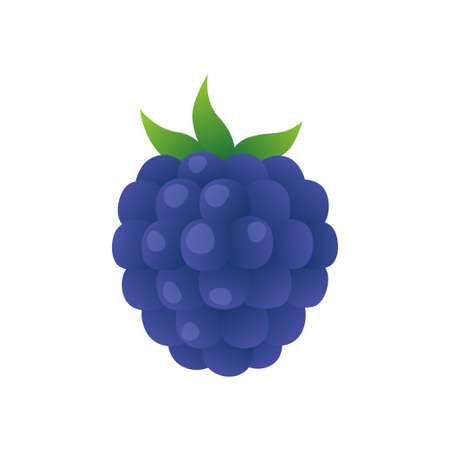 Vector cartoon blueberry illustration isolated on white background. Summer berries for healthy lifestyle. Organic foodのイラスト素材