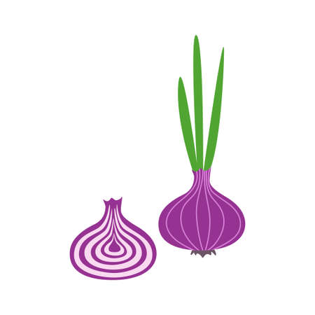 Red onion. Delicious and healthy vegetable. A root vegetable that is prepared as a seasoning. Vector illustration isolated on a white background for design and web.のイラスト素材