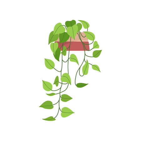 Green hanging houseplant. Home and office plant decoration. Flat vector illustration isolated on white backgroundのイラスト素材