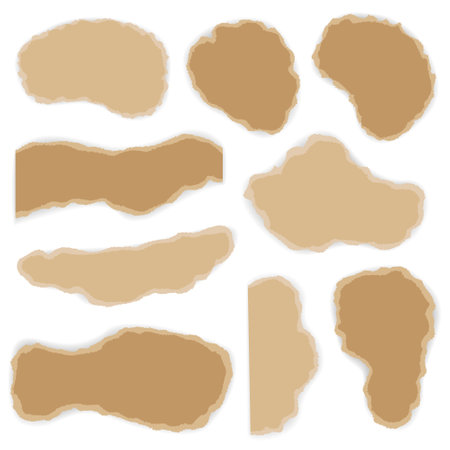 Vector torn pieces of craft paper and cardboard. Nine empty elements with tear paper effect. Sizable, editable vector.のイラスト素材