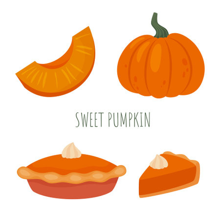Autumn pumpkin and pie with slices. Sweet pumpkin illustrations set. Orange fall food clipartのイラスト素材
