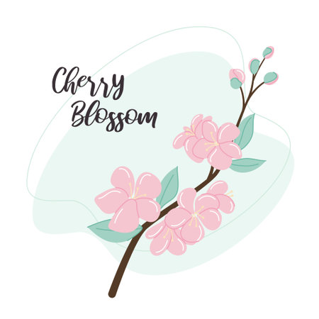 Cherry Blossom Flower. Botanical vector illustration. Floral decor for postcard or other printのイラスト素材