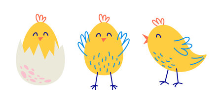 Cute Easter chicks set. Vector yellow birds illustrations set isolated on white background.のイラスト素材