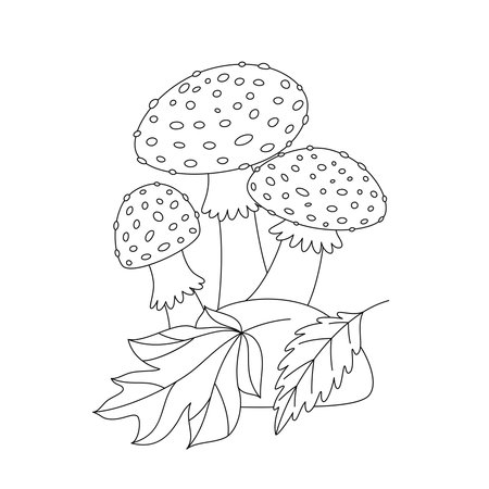 Coloring page with mushrooms and leaves. Vector linear illustration of fly agaric. Black and white line art coloring book pageのイラスト素材