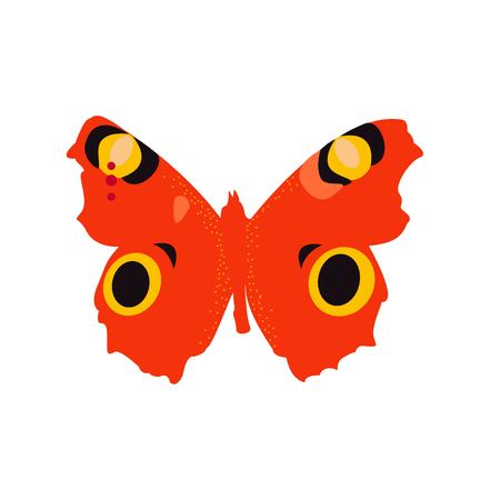 Top view of beautiful monarch butterfly, sketch illustration isolated on white background. color Realistic hand drawing of monarch butterfly on white backgroundのイラスト素材