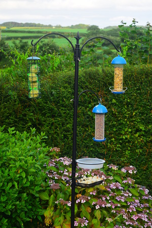 Bird feederの写真素材