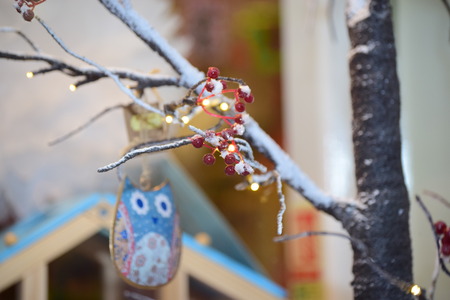 Xmas Decorationsの写真素材