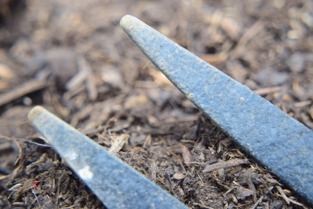 Garden Forkの写真素材