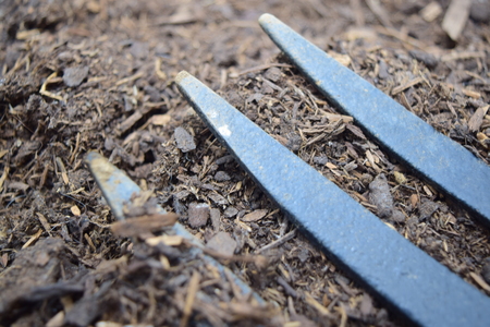 Garden Forkの写真素材