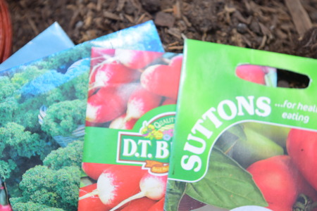 packets of seedsの写真素材