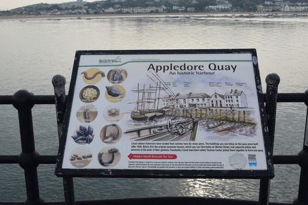 appledore summer fete 2014のeditorial素材