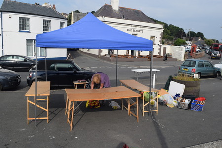 appledore summer fete 2014のeditorial素材