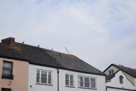 Arrayのeditorial素材