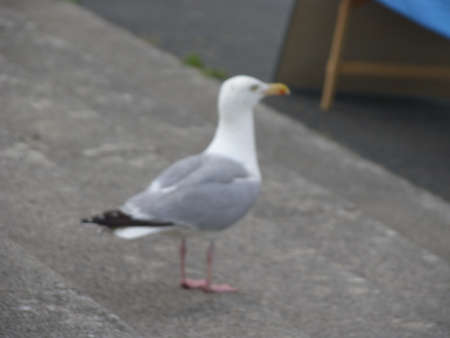 Arrayのeditorial素材