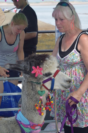 appledore summer fete 2014のeditorial素材