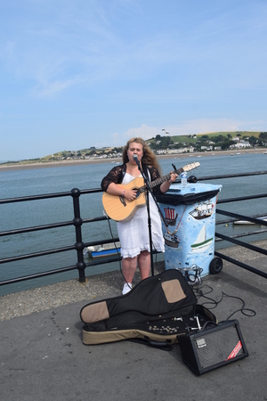 appledore summer fete 2014のeditorial素材