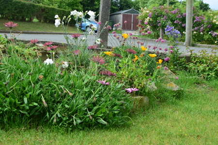 Small gardenの写真素材
