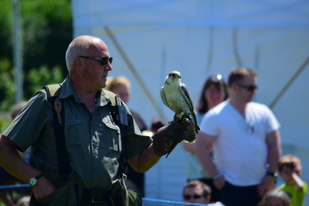 Bideford Heritage day 2015のeditorial素材