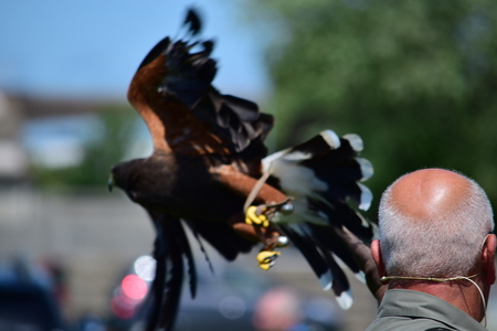 Bideford Heritage day 2015のeditorial素材