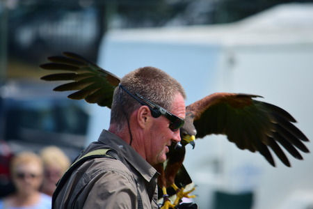 Bideford Heritage day 2015