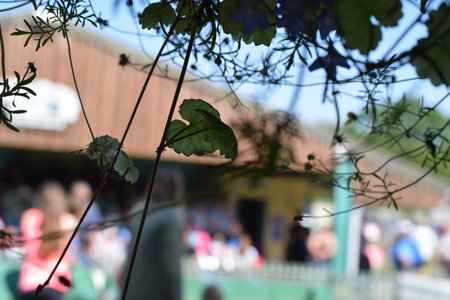 Arrayのeditorial素材