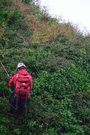 Arrayのeditorial素材