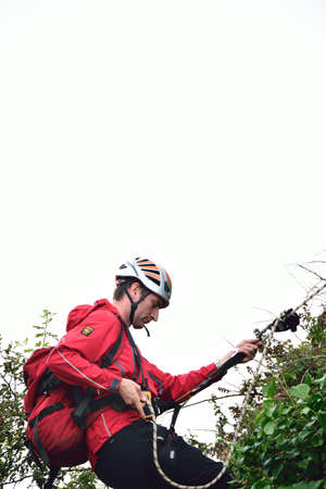 Arrayのeditorial素材