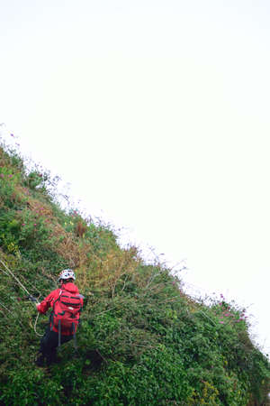 Arrayのeditorial素材