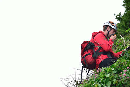 Arrayのeditorial素材