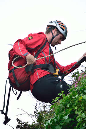 Arrayのeditorial素材