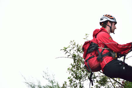 Arrayのeditorial素材