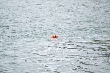 Arrayのeditorial素材