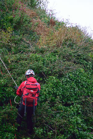 Arrayのeditorial素材