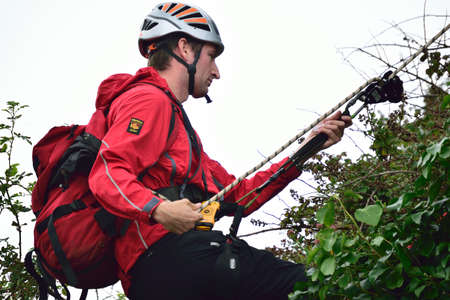 Arrayのeditorial素材