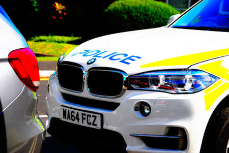 Arrayのeditorial素材