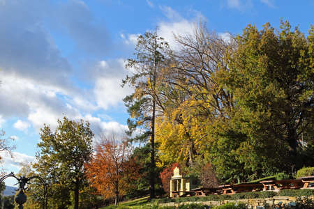 Autumns leaves in suburban of Hobart, Tasmania, Australiaの写真素材