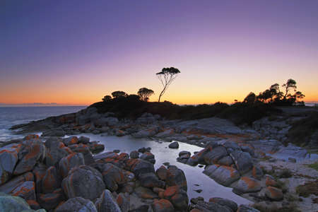 A clear sky at dawn at Bay of Fire, Tasmania, Australiaの写真素材