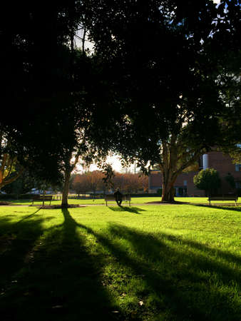 A man sitting at the bench alone at sunset timeの写真素材