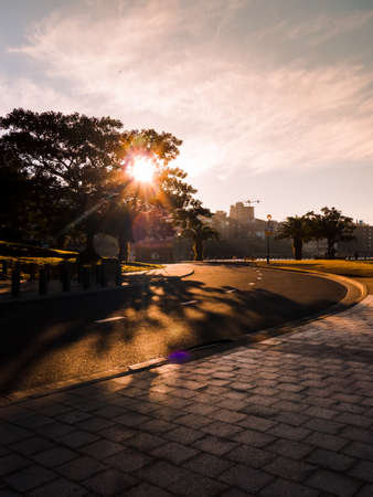A sunlight pass through the tree to empty road.の写真素材