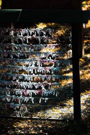 Bad luck (mikuji) tied to dispose the bad luck.の写真素材