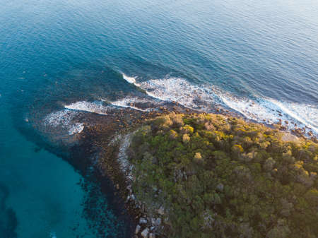 Green plantation on the coastline.
