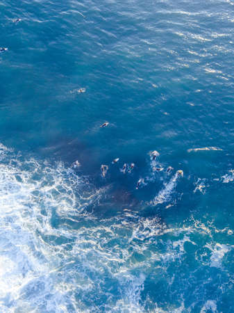 Aerial top down view of group of surfers in the ocean.の写真素材