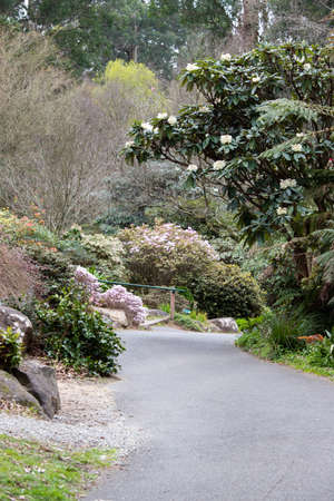 Empty walk way between plants in the park.の写真素材