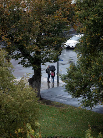 Adelaide, Australia - May 11, 2019: Two people standing under the tree with umbrella.のeditorial素材