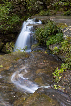 Creek water flow into the waterfall.